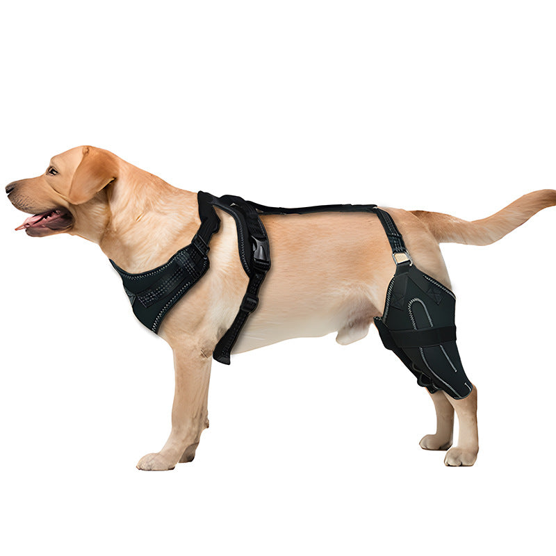 Pet protective gear dog hind leg double protective gear thigh protective cover